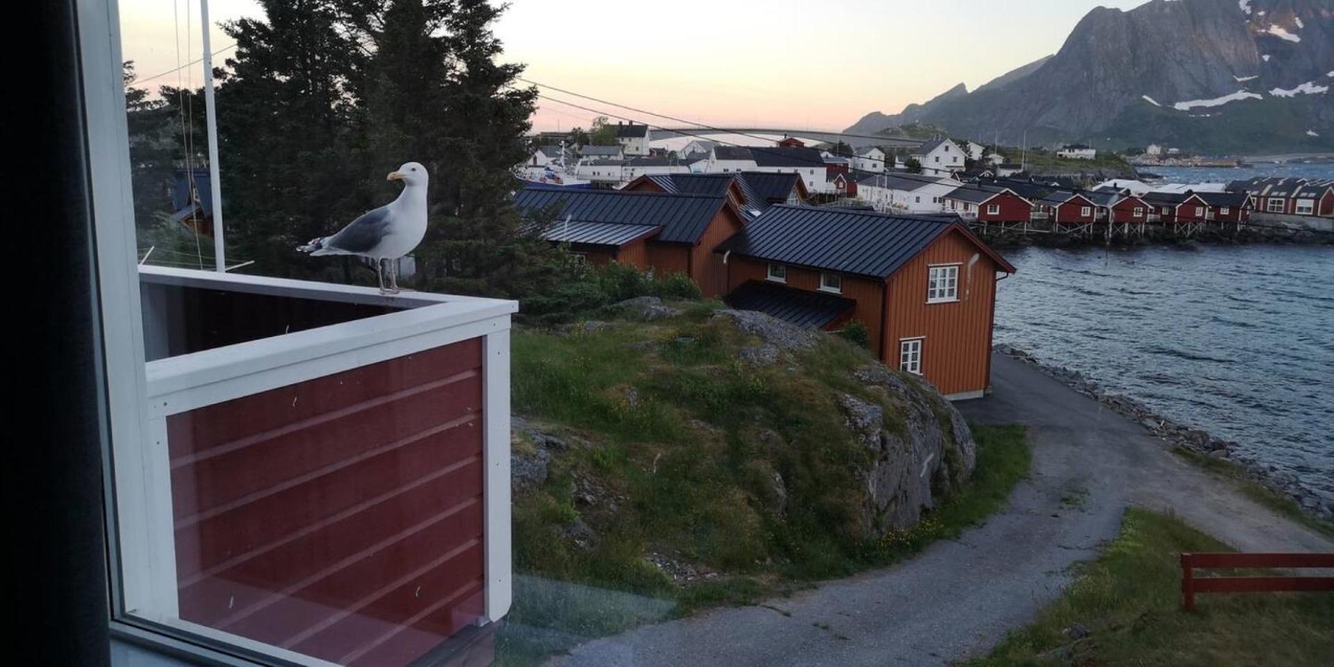 Lofoten Panoramic Luxury Home With Sauna Москенесей Екстер'єр фото